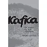 Kafka: In Light of the Accident