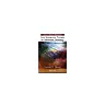 Lean Management Principles for Information Technology