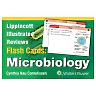 Lippincott Illustrated Reviews Flash Cards: Microbiology