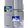Litigating in America: Civil Procedure in Context