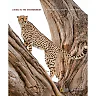 Living in the Environment 18th Edition