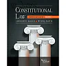 Maggs and Smith's Constitutional Law: Undergraduate Edition, Volume 1