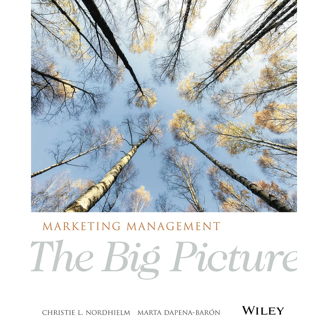 Marketing Management: The Big Picture