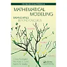 Mathematical Modeling: Branching Beyond Calculus
