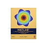 MATLAB: A Practical Introduction to Programming and Problem Solving (5th Edition)