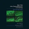 Mayo Clinic Atlas of Immunofluorescence in Dermatology: Patterns and Target Antigens