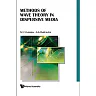 Methods Of Wave Theory In Dispersive Media