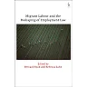 Migrant Labour and the Reshaping of Employment Law