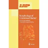 Morphology of Condensed Matter: Physics and Geometry of Spatially Complex Systems