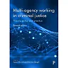 Multi-Agency Working in Criminal Justice: Theory Policy and Practice 2nd Edition