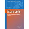 Muse Cells: Endogenous Reparative Pluripotent Stem Cells