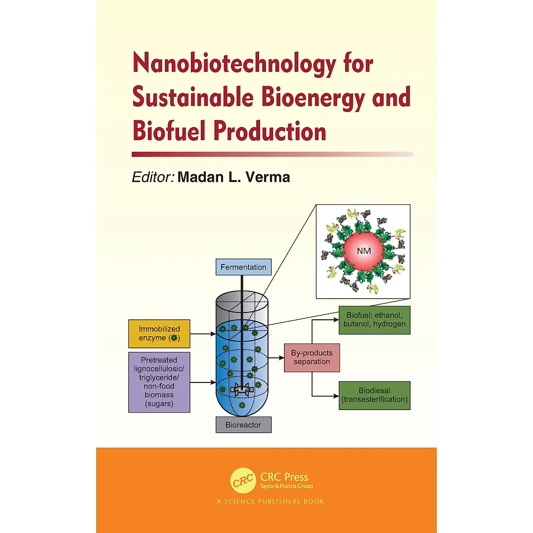 Nanobiotechnology for Sustainable Bioenergy and Biofuel Production