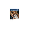 NASM Essentials of Personal Fitness Training 4th Fourth Edition by National Academy of Sports Medicine