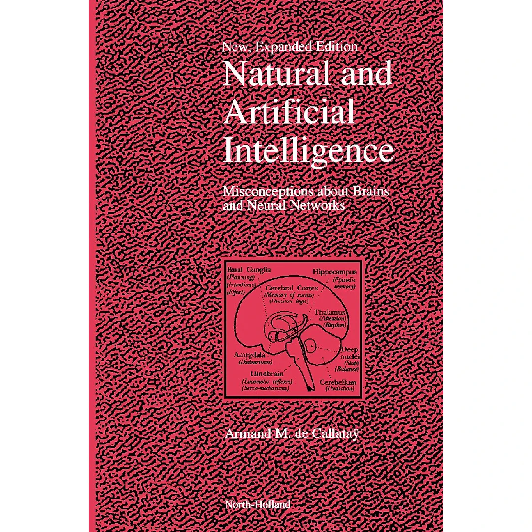 Natural and Artificial Intelligence: Misconceptions about Brains and Neural Networks