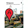 Netspaces: Space and Place in a Networked World