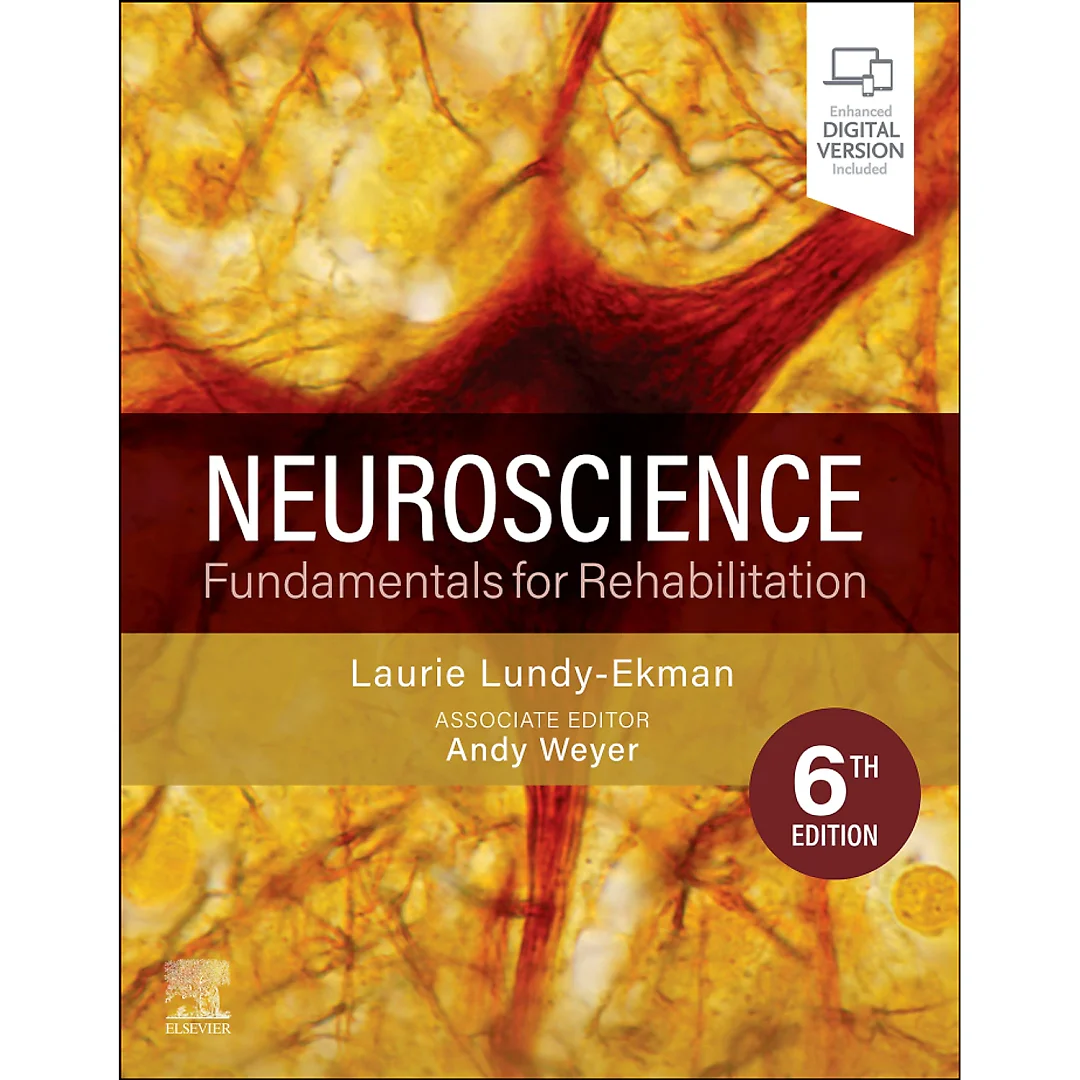 Neuroscience: Fundamentals for Rehabilitation 6th Edition