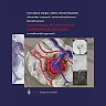 Neurosurgery of Arteriovenous Malformations and Fistulas: A Multimodal Approach