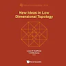 New Ideas In Low Dimensional Topology