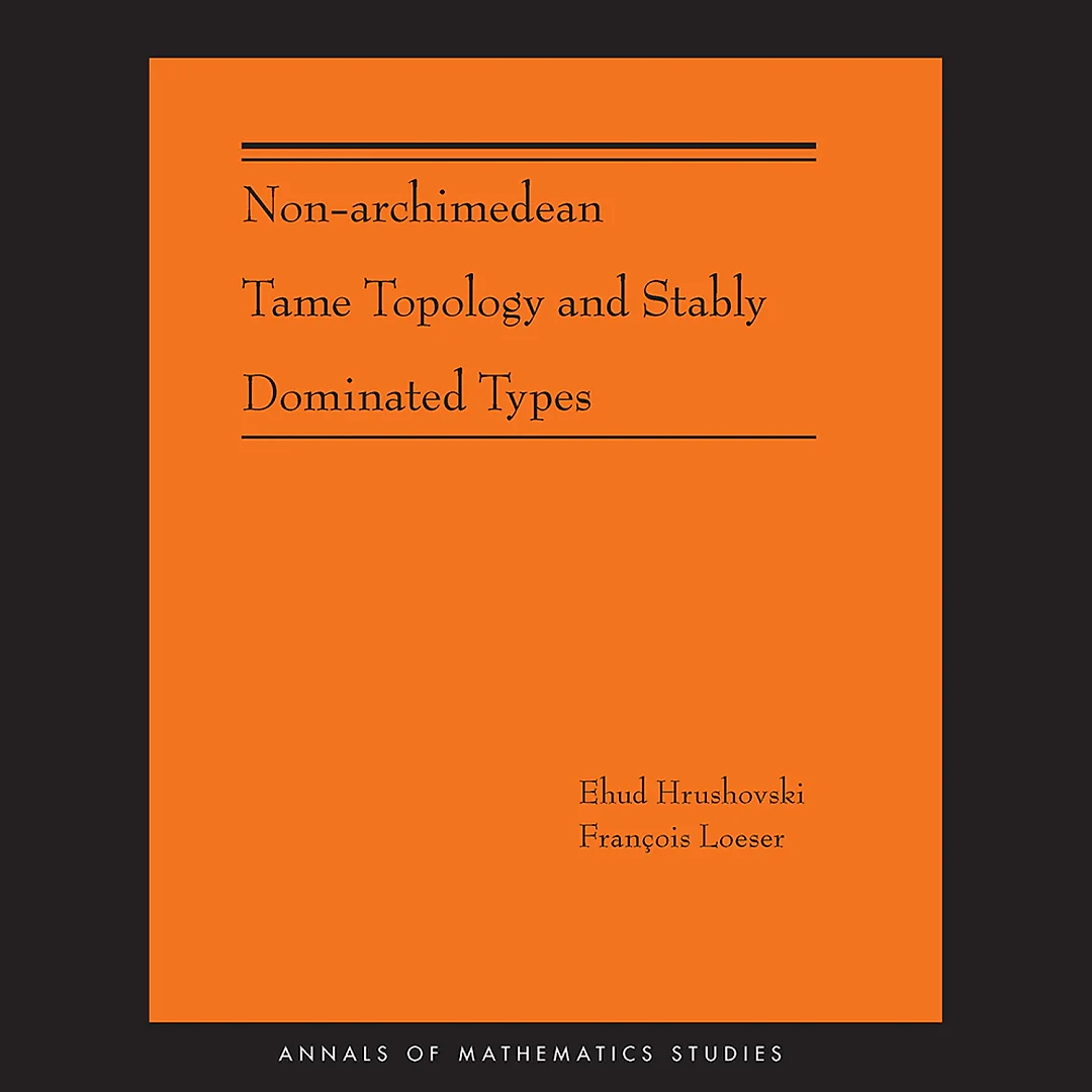 Non-Archimedean Tame Topology and Stably Dominated Types (AM-192)