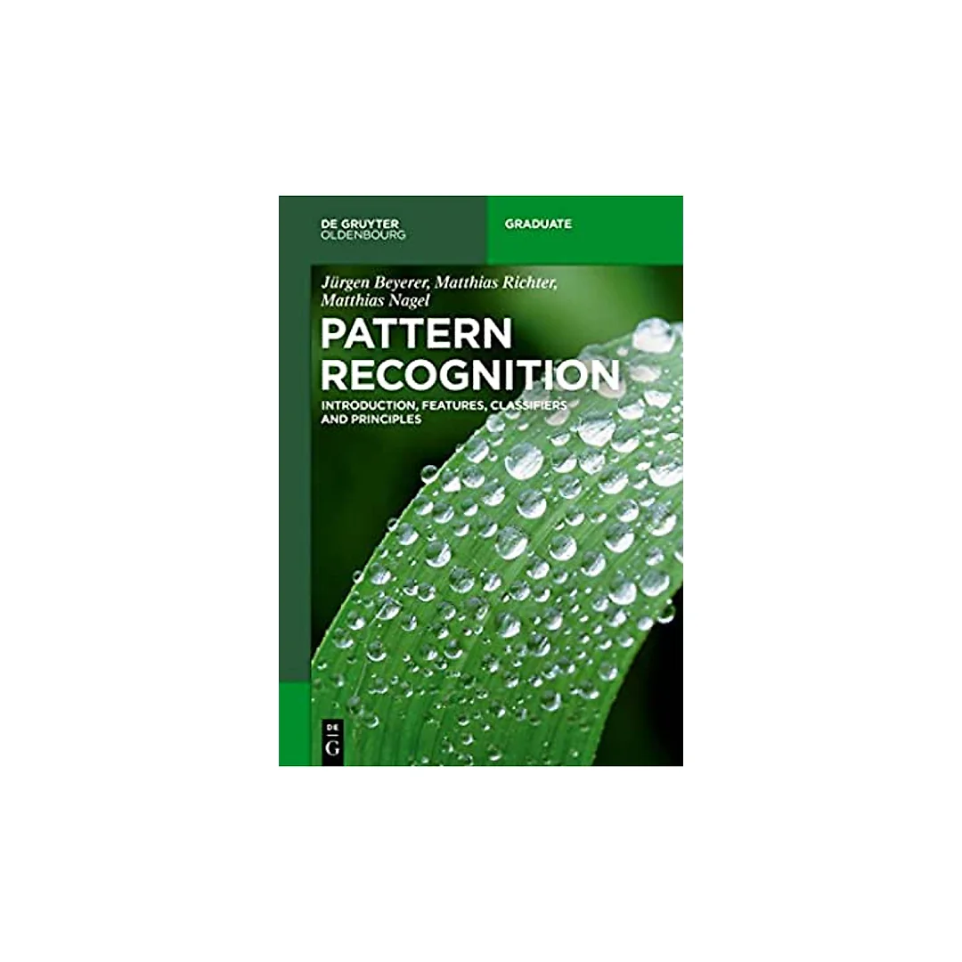 Pattern Recognition: Introduction, Features, Classifiers and Principles