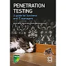 Penetration Testing: A guide for business and IT managers
