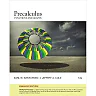 Precalculus: Functions and Graphs Enhanced 12th Edition
