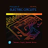 Principles of Electric Circuits: Conventional Current Version, 10th Edition