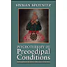 Psychotherapy of Preoedipal Conditions: Schizophrenia and Severe Character Disorders