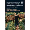 Research Handbook on Entrepreneurship in Emerging Economies