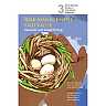 Risk Management And Value: Valuation And Asset Pricing