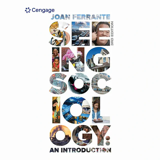 Seeing Sociology: An Introduction 3rd Edition