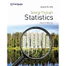 Seeing Through Statistics 4th Edition