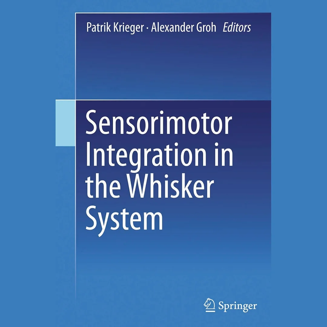 Sensorimotor Integration in the Whisker System