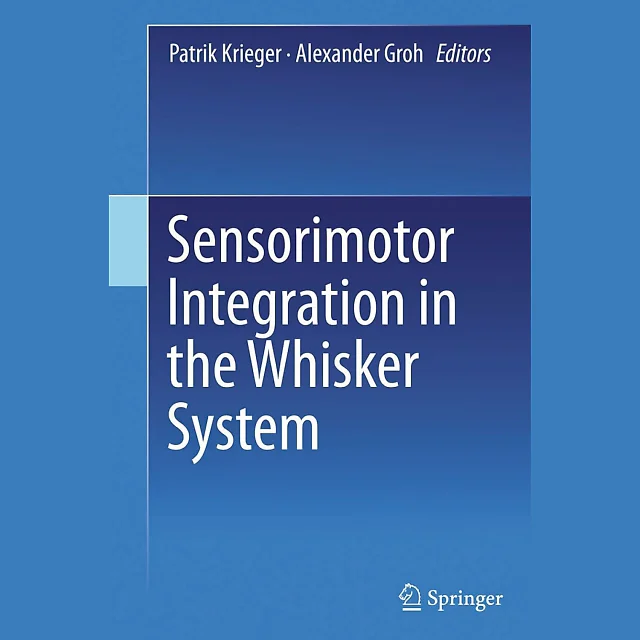 Sensorimotor Integration in the Whisker System