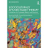Socioculturally Attuned Family Therapy: Guidelines for Equitable Theory and Practice