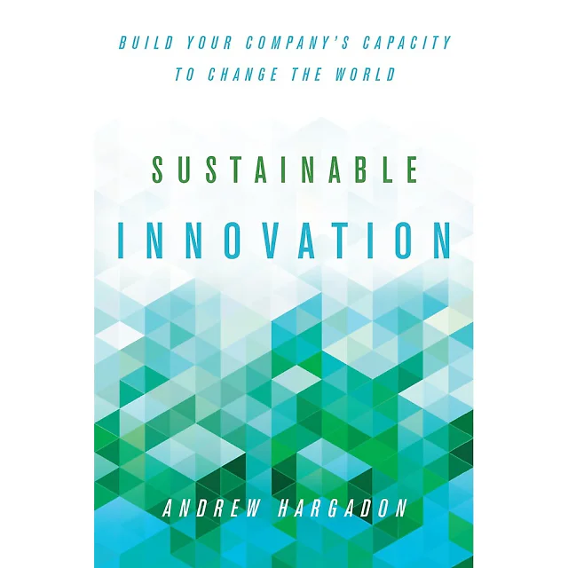 Sustainable Innovation: Build Your Company's Capacity to Change the World