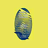 System on Chip Design Languages Extended papers: best of FDL'01 and HDLCon'01
