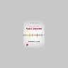 The Art of Public Speaking 13th by Stephen Lucas
