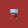 The Boston IVF Handbook of Infertility: A Practical Guide for Practitioners Who Care for Infertile Couples, Fourth Edition