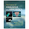 The Essence of Analgesia and Analgesics