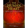 The Human Heart: A Basic Guide to Heart Disease