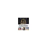 the Legal and Regulatory Environment of Business 19e