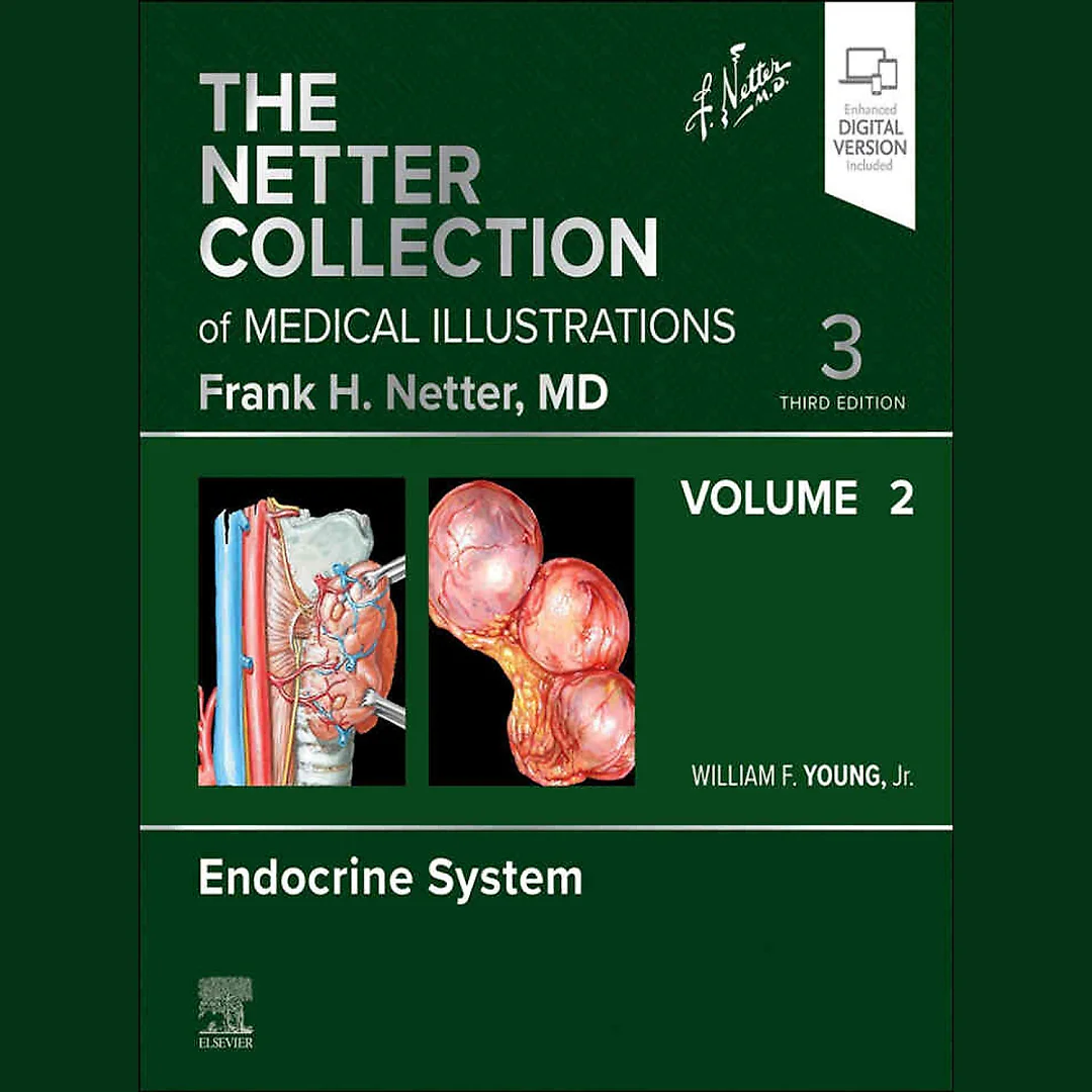 The Netter Collection of Medical Illustrations: Endocrine System, Volume 2