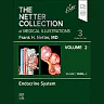 The Netter Collection of Medical Illustrations: Endocrine System, Volume 2