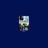 The New York City Police Department: The Impact of Its Policies and Practices