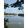 The Politics of Palm Oil Harm: A Green Criminological Perspective