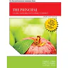 The Principal: Creative Leadership for Excellence in Schools