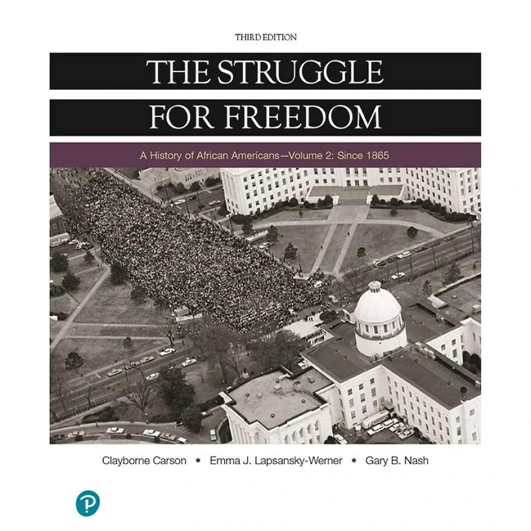 The Struggle for Freedom, Volume 2: Since 1865