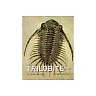 The Trilobite Book: A Visual Journey