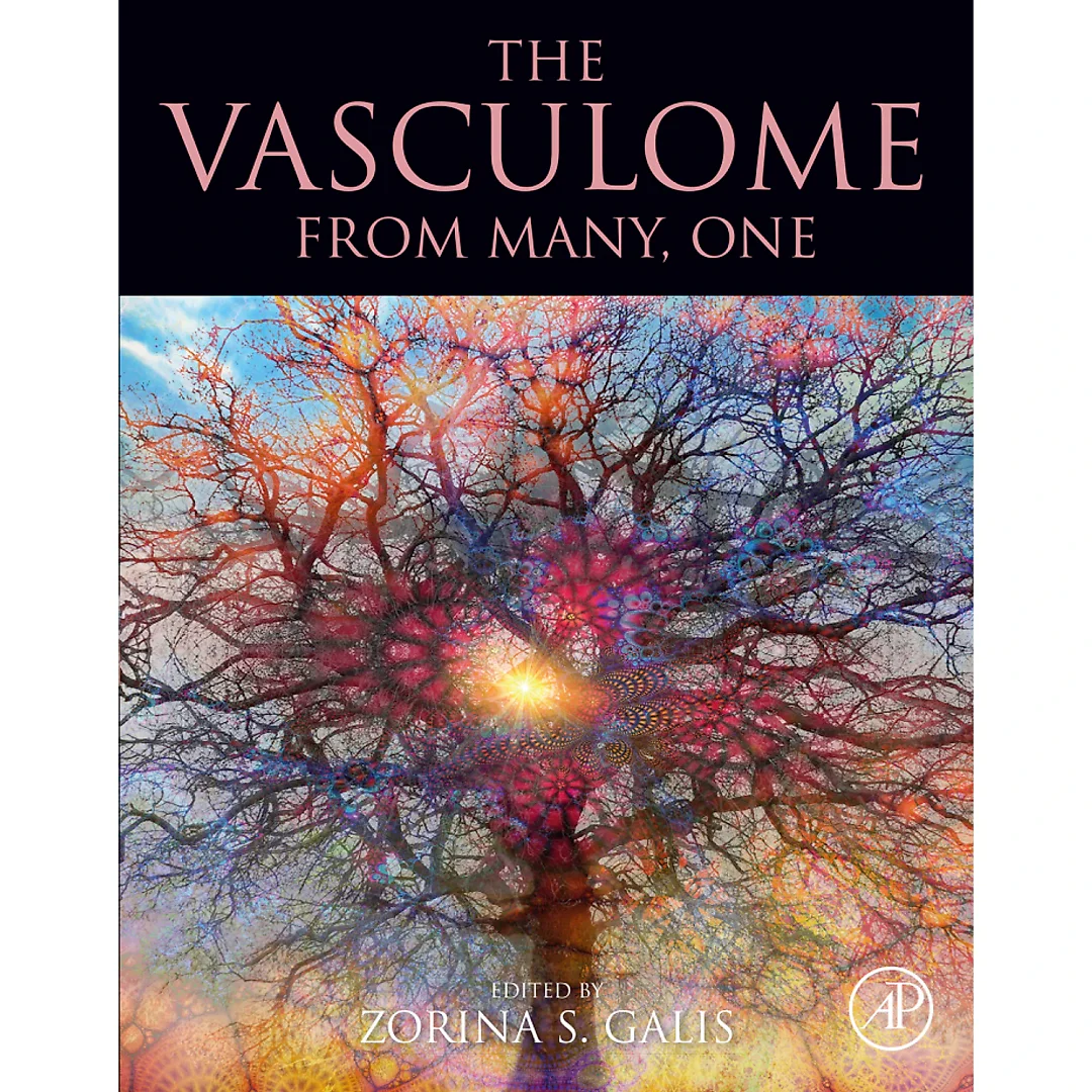 The Vasculome: From Many, One